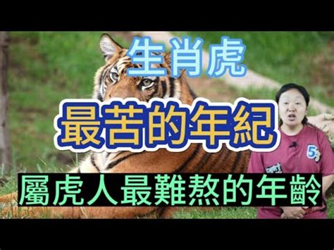 屬虎的禁忌|屬虎不必再當邊緣人：屬虎禁忌如何化解、2022運勢報你知